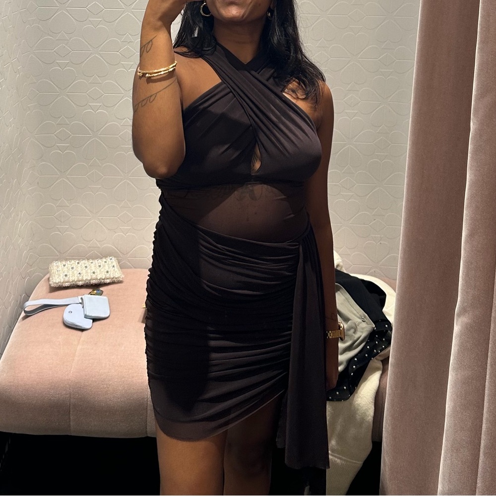 Zara Mesh Brown Dress